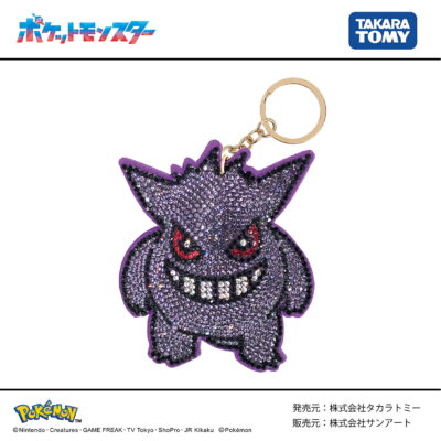 ポケモン ラインストーン マスコットクリーナー 液晶 画面