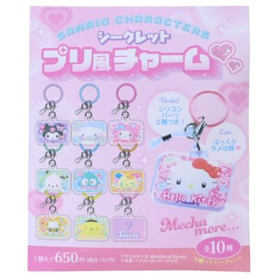 サンリオキャラクターズ めじるしチャーム シークレット プリ風チャーム 全10種